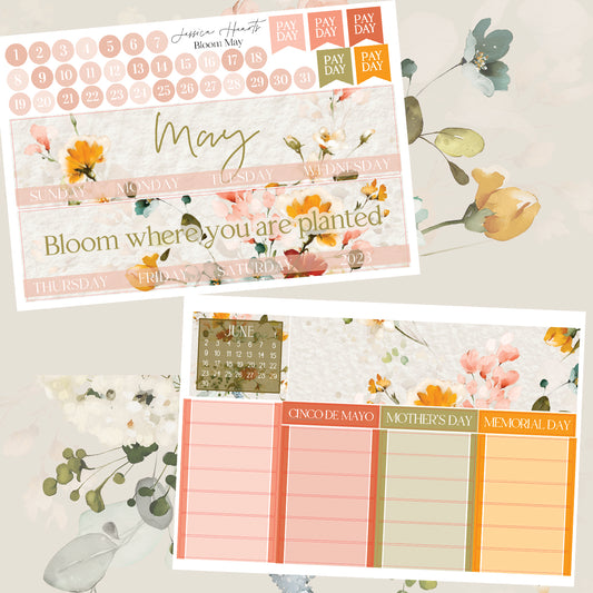 Bloom May 2024 Monthly Kit